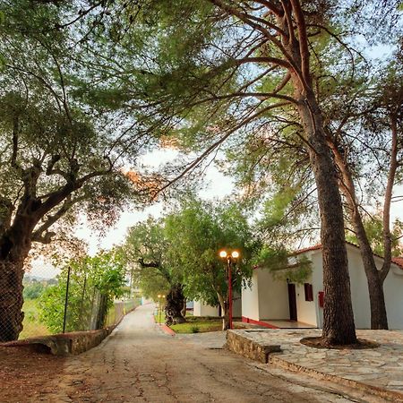 Alykes Park Bungalows 外观 照片