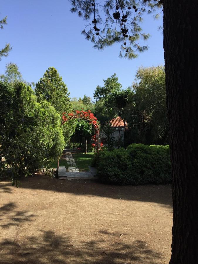 Alykes Park Bungalows 外观 照片